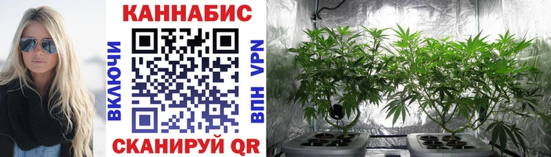 Каннабис THC 21%  купить наркотик  мориарти какой сайт  Николаевск-на-Амуре 
